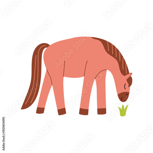 Quadro em tela Cute horse is walking near the grass