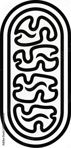 Stylized representation of a biological organelle with internal folded membranes in black and white