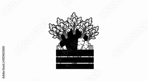 Fresh carrots with leafy tops displayed in a rustic wooden crate