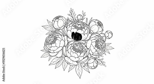 Delicate sketch of a lush bouquet of peonies and buds adorned with leaves