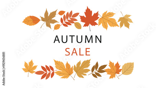 Autumn sale banner design featuring a decorative border of various colorful fall leaves on a white background with clean text.
