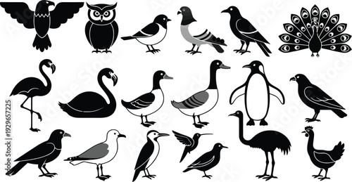 Set of 16 bird icons vector