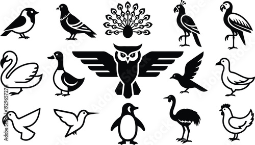 Set of 12 bird icons vector