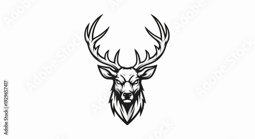 Fierce stag head with large antlers, rendered in a striking black and white graphic style