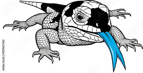 Black and white reptile with a black and white hexagonal head, and a bright blue forked tongue