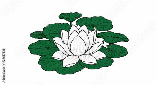 A delicate white lotus flower rests amidst vibrant green lily pads