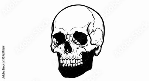 Hand-drawn black and white illustration of a human skull with hollow eyes and teeth