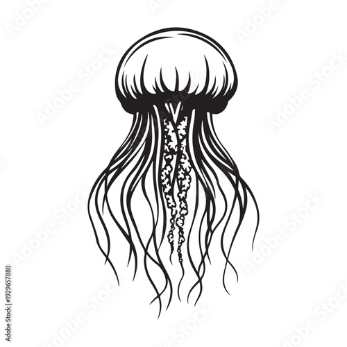 Elegant jellyfish silhouette
