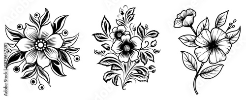 Floral Ornament Elements Vector Set, Hand Drawn Decorative Flowers and Leaves Sketch, Botanical Design Illustration