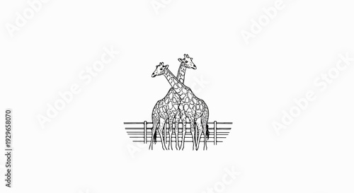 Two giraffes with spotted bodies stand behind a wooden fence