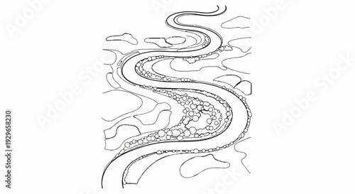 Winding stream with rounded pebbles in its course, bordered by organic shapes