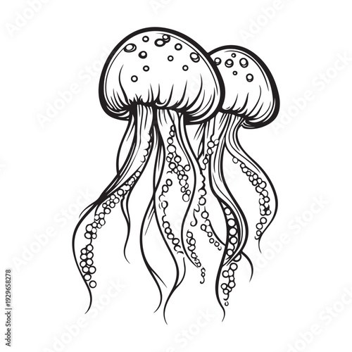 Elegant jellyfish silhouette