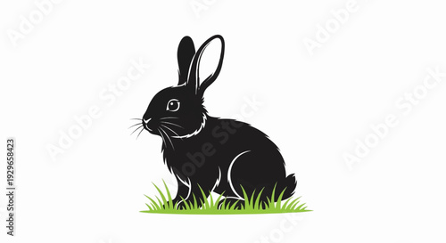 A black rabbit sits on green grass in a simple illustration