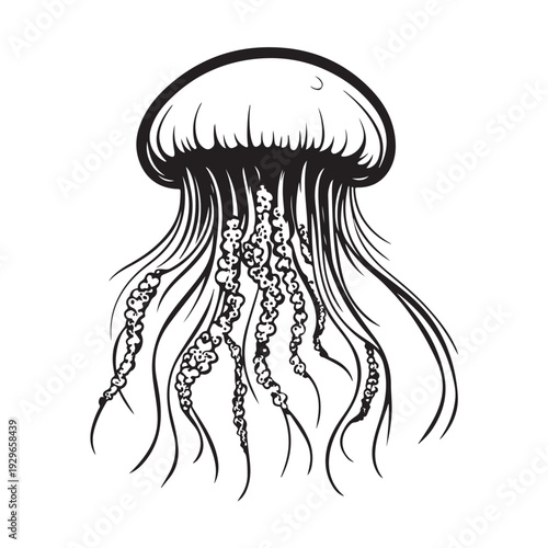Elegant jellyfish silhouette