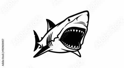 A menacing shark with its mouth open and sharp teeth bared, ready to attack