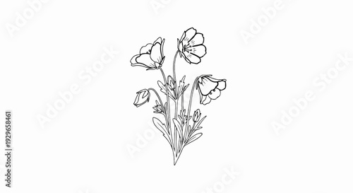 Delicate sketch of a bouquet of wildflowers with buds and open blooms