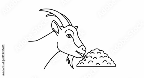 Line drawing of a goat eating a pile of greenery
