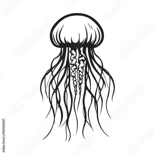 Elegant jellyfish silhouette