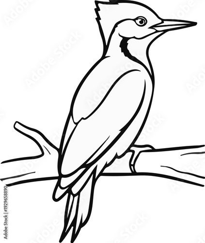 Line drawing of a bird with a pointed beak perched on a branch