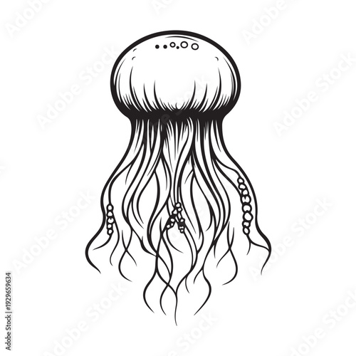 Elegant jellyfish silhouette
