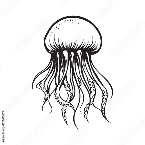 Elegant jellyfish silhouette