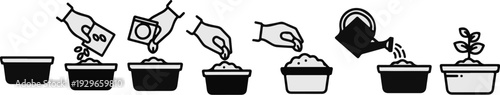 A step-by-step illustration of planting and watering seeds in pots