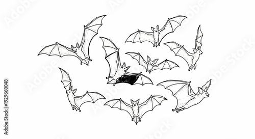 A collection of hand-drawn bats in various flying poses against a white background