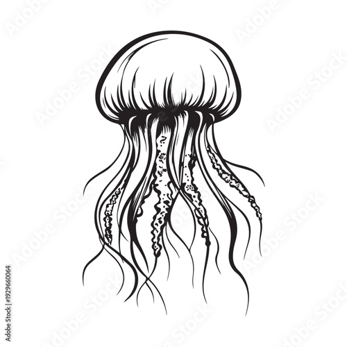 Elegant jellyfish silhouette