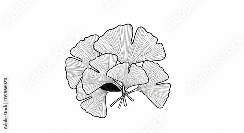 A cluster of stylized ginkgo leaves in a monochrome sketch