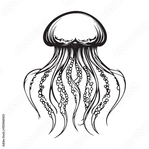 Elegant jellyfish silhouette