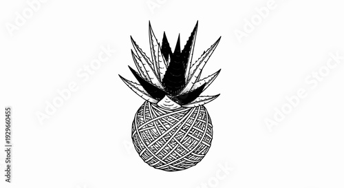 Hand-drawn graphic of a pineapple with a textured ball body and spiky leaves