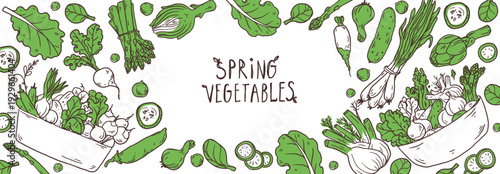 Spring vegetables and baskets of vegetables. Simple doodle sketch vector set with fresh seasonal ingredients for modern food branding, packaging, cafe menu and kitchen design