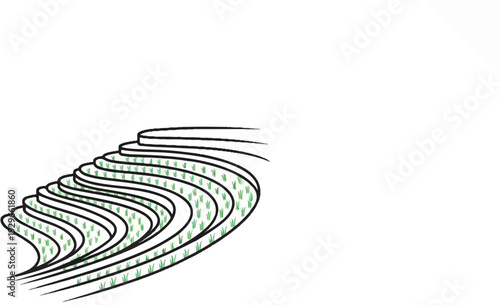 Stylized illustration of tiered green rice paddies curving across a white background