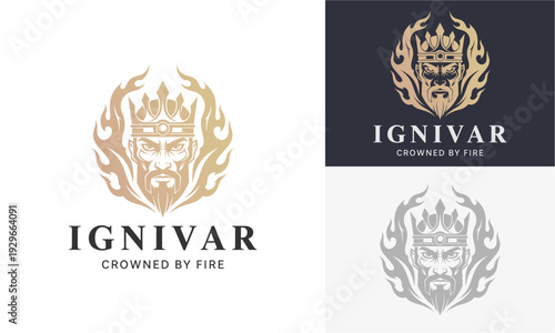 Luxurious logo designs featuring a crowned lion's head surrounded by flames in gold, silver, and monochrome styles