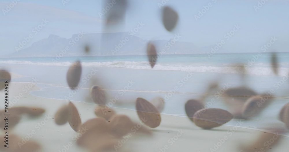 Fototapeta premium Showing beach shoreline meeting calm shallow surf with foamy line, horizon silhouette, brown ovals