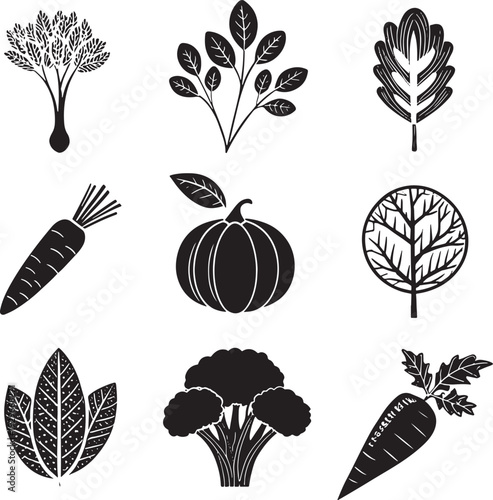 Black silhouette collection of various vegetables and leaves broccoli carrot pumpkin parsley