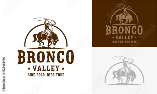 Vintage style bronco rider logos displayed in multiple variations and tones on a clean background from a straightforward viewpoint.