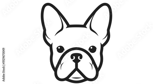 French bulldog face illustration