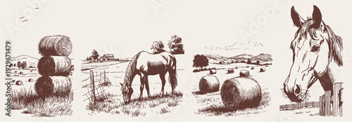 Hay bales and horse pastoral farmland collection set. Round straw stacks and grazing animal in open fields. Illustration for agricultural branding or print. Rustic crayon drawn line sketch style.