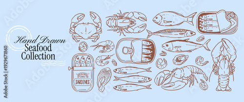 Crayon doodle seafood collection with Mediterranean fish, crab and lobster. Hand drawn ink food illustration for restaurant menu, packaging. Vintage whimsical clip art in sketch style.