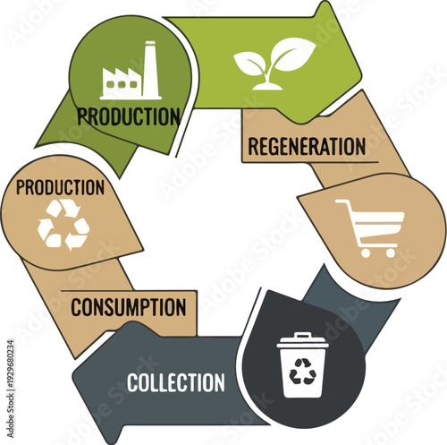 Circular economy model illustrates production, consumption, collection, and regeneration process via recycling