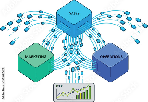 Business operations and sales data analysis via RJ Whisk Auto connections
