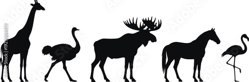 Silhouette set of diverse wild animals including giraffe ostrich moose horse and flamingo, african safari wildlife collection, nature fauna icons.