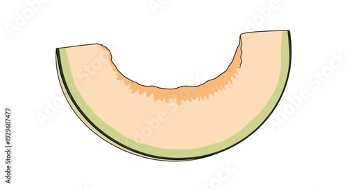 Single slice of fresh cantaloupe melon with its characteristic orange flesh and green rind is shown on white background.