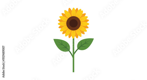 Single vibrant yellow sunflower with a dark brown center and green leaves on a white background for summer floral design.