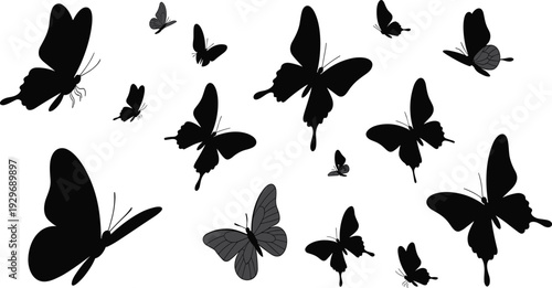 Beautiful butterfly silhouettes collection, graceful flying insect vector icons set, various butterfly wing shapes isolated on a white background