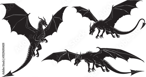Dragons in dynamic poses
