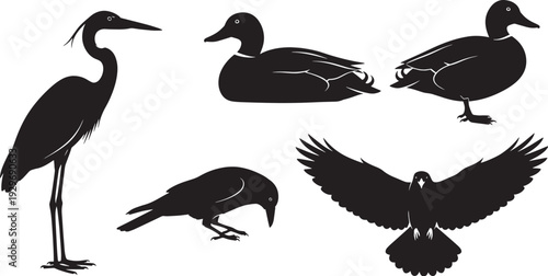 Silhouettes of Birds in Flight and Rest