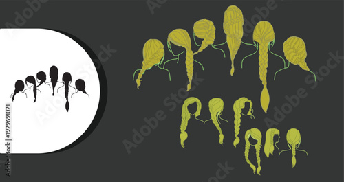 Collection of various hairstyles and braids illustrations