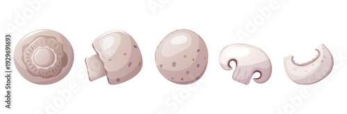Vector set of champignon mushrooms, whole and sliced, clean and fresh elements for food design, perfect for packaging, menus, recipes and cooking themes